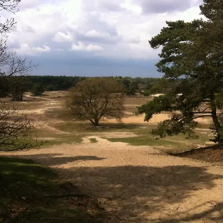 Mooi En Schoon Chalet Met Ruime Tuin En Terras-2